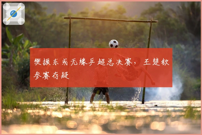 樊振东或无缘乒超总决赛，王楚钦参赛存疑